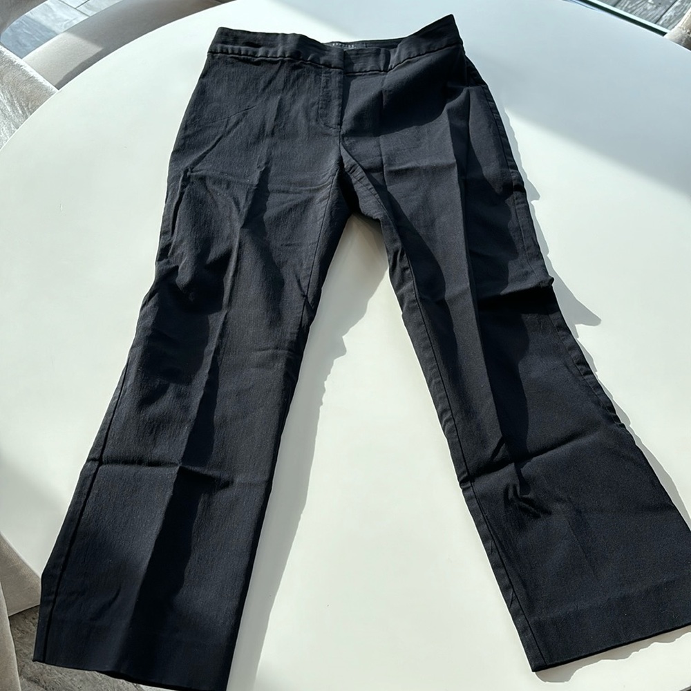 Express stretch dress pants
